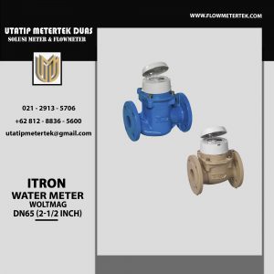 Itron Water Meter DN65 Woltmag