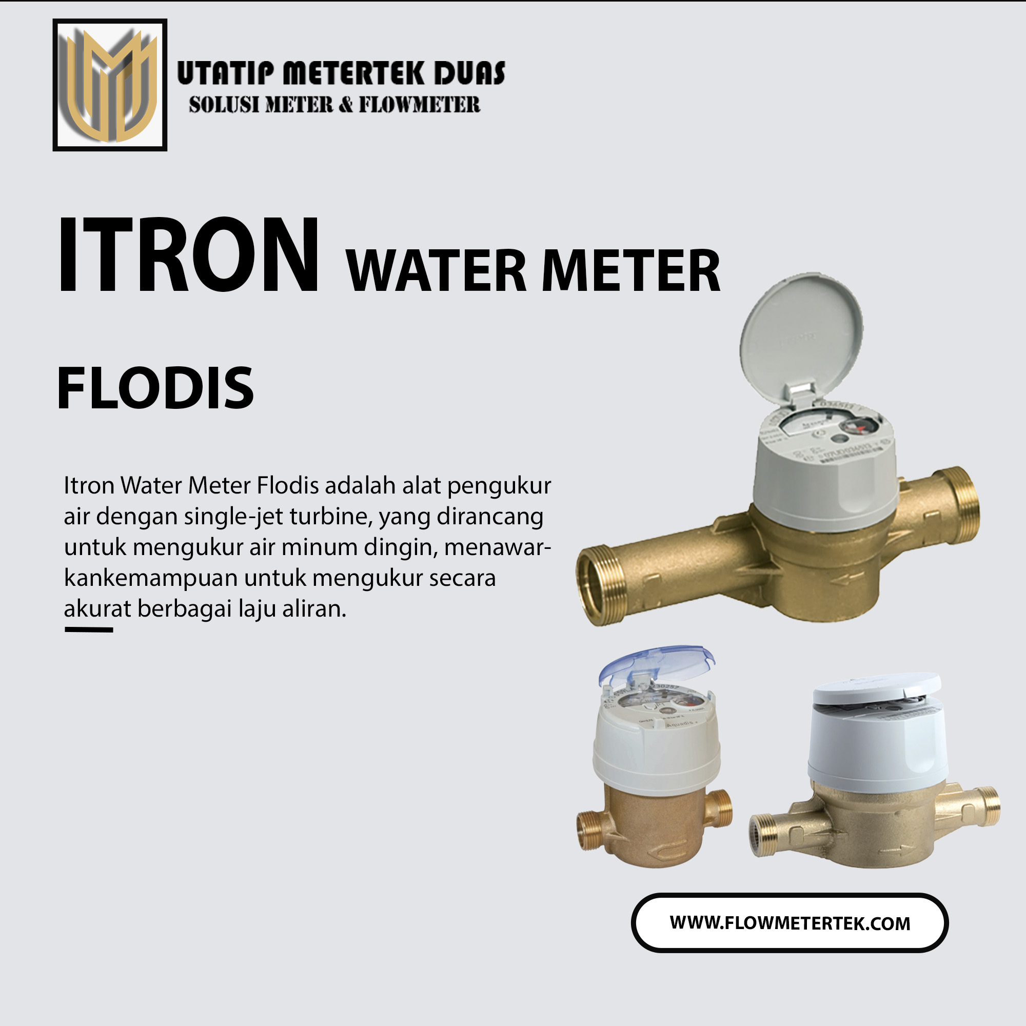 Itron Water Meter Flodis