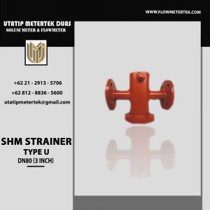 SHM Strainer DN80
