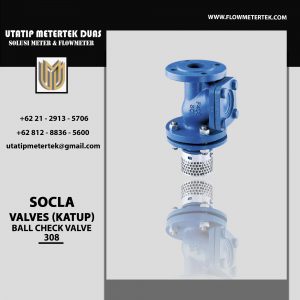 SOCLA Ball Check Valve 308