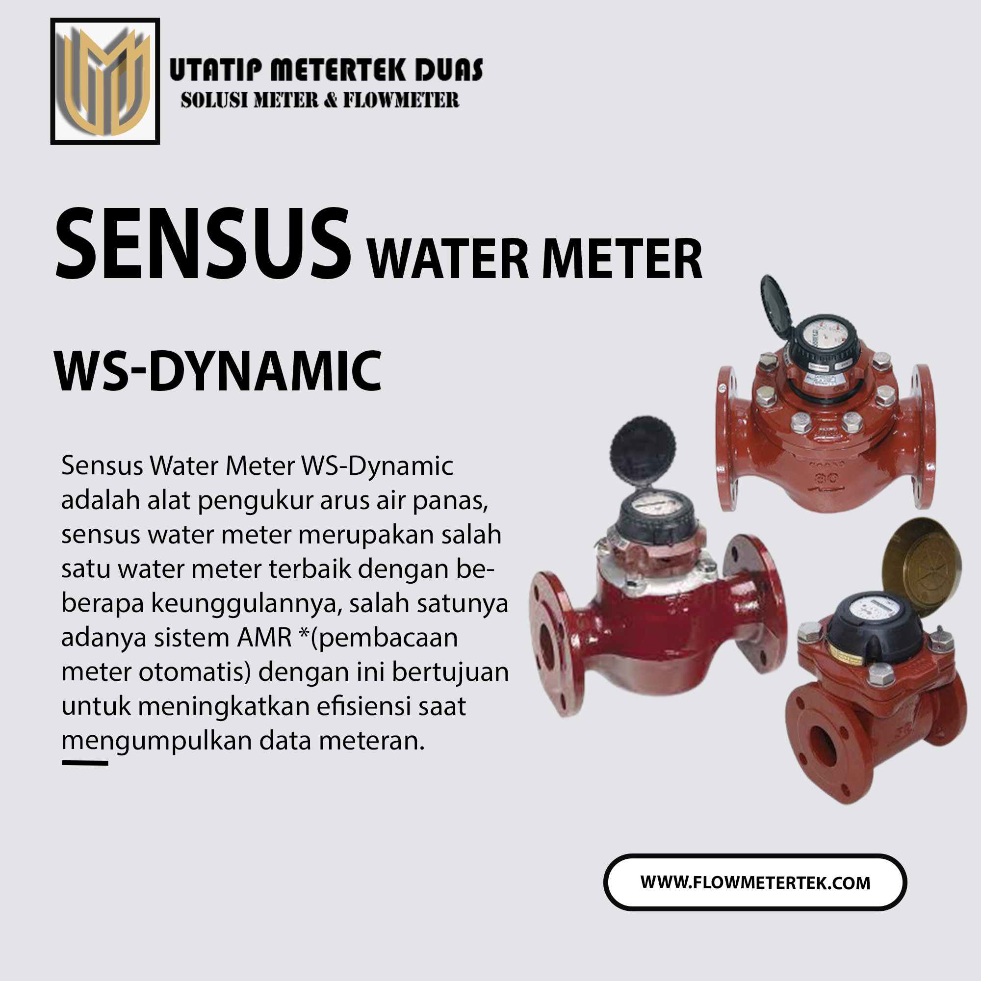 Sensus Water Meter WS-Dynamic